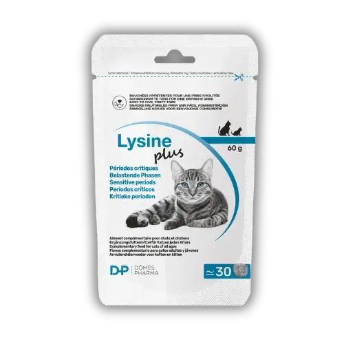 Lysine Plus 30 Snacks × 2 g