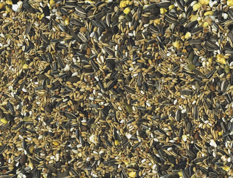 Loros Condición 15kg - Vadigran
