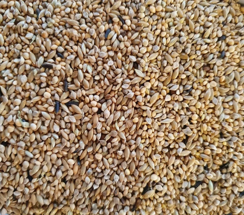 Deli Nature 42 Pinzón Cebra Supremo 1kg