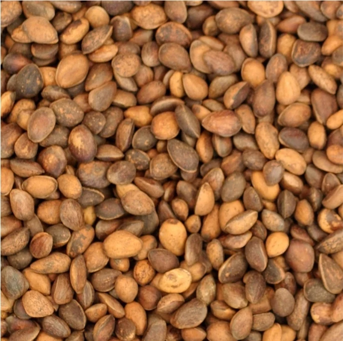 Nueces de cedro (piñones) 1kg