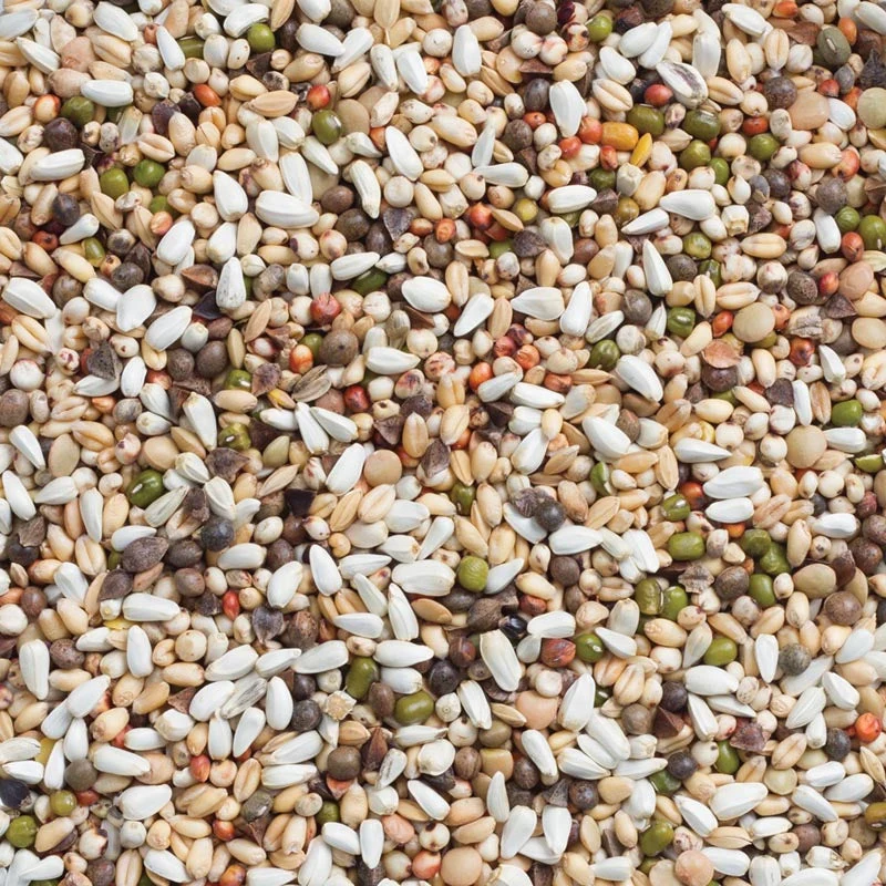 Deli Nature 33 Germen de Periquito y Loro Grande 1kg