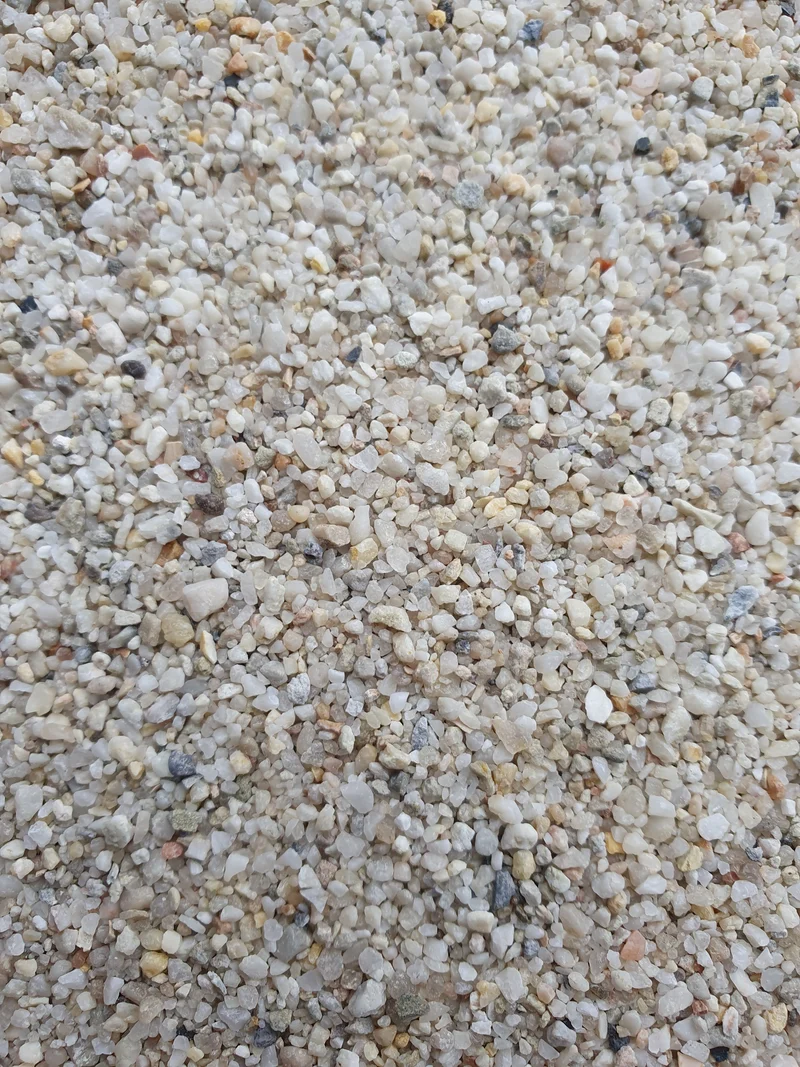 Estómago guijarro pájaro 500 gramos
