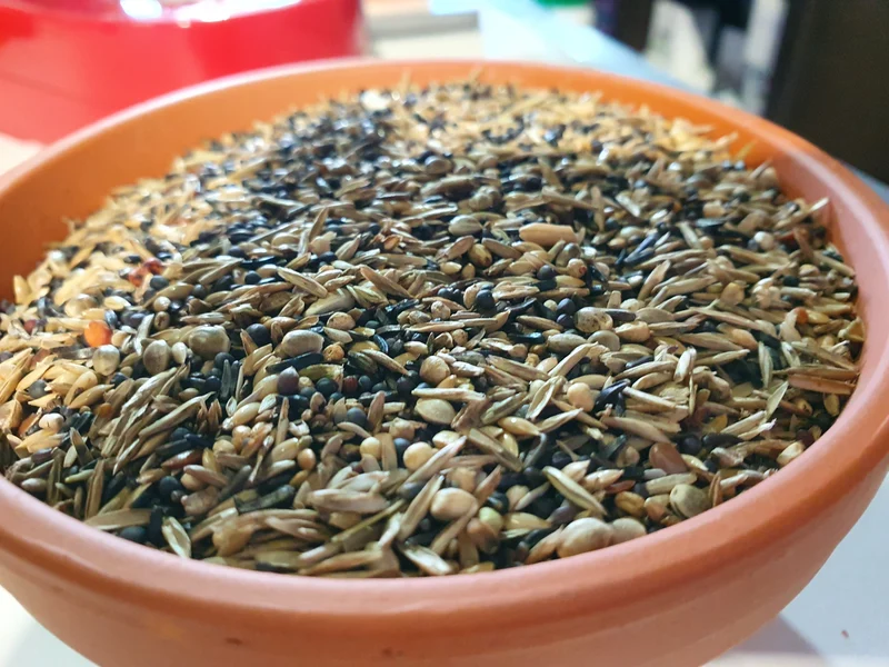 Mezcla Especial Jilgueros y Jilgueros 5kg - Duvo+