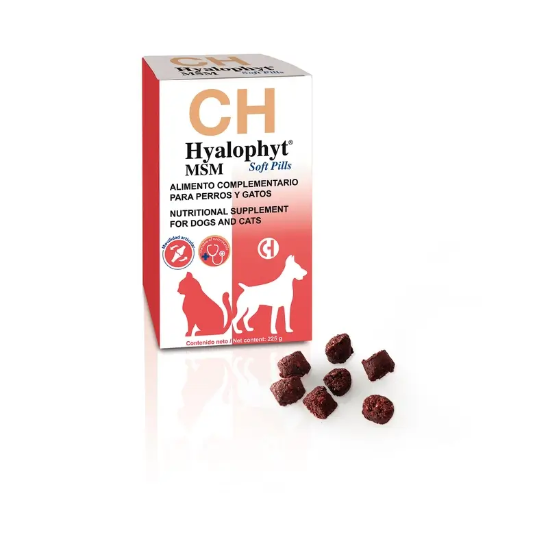 Chemical Hyalophyt MSM Soft Pills, 225 g