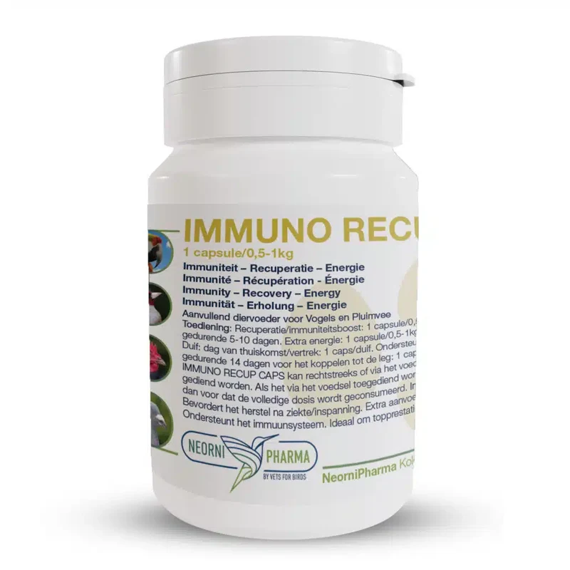 Immuno Recup Caps 100cáps - Neornipharma (bajo pedido)