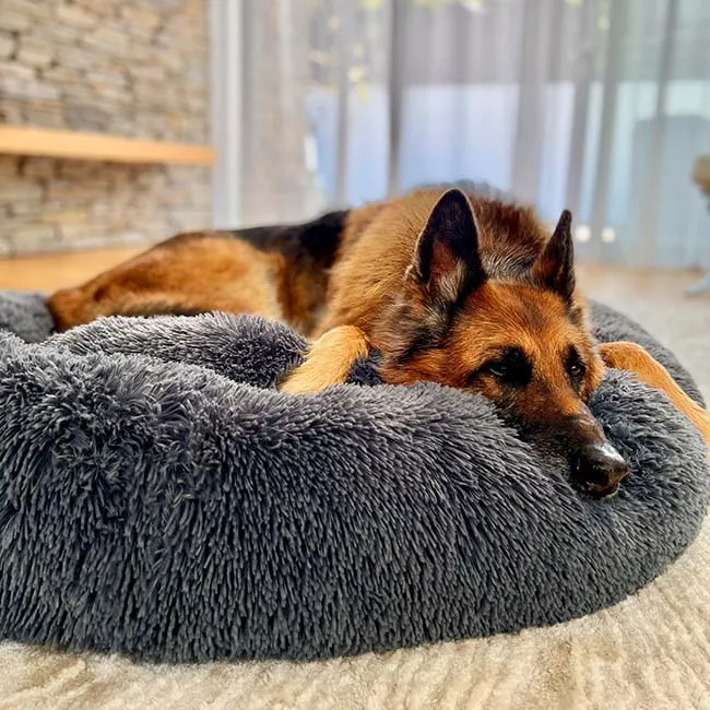 Waterproof dog bed with calming function