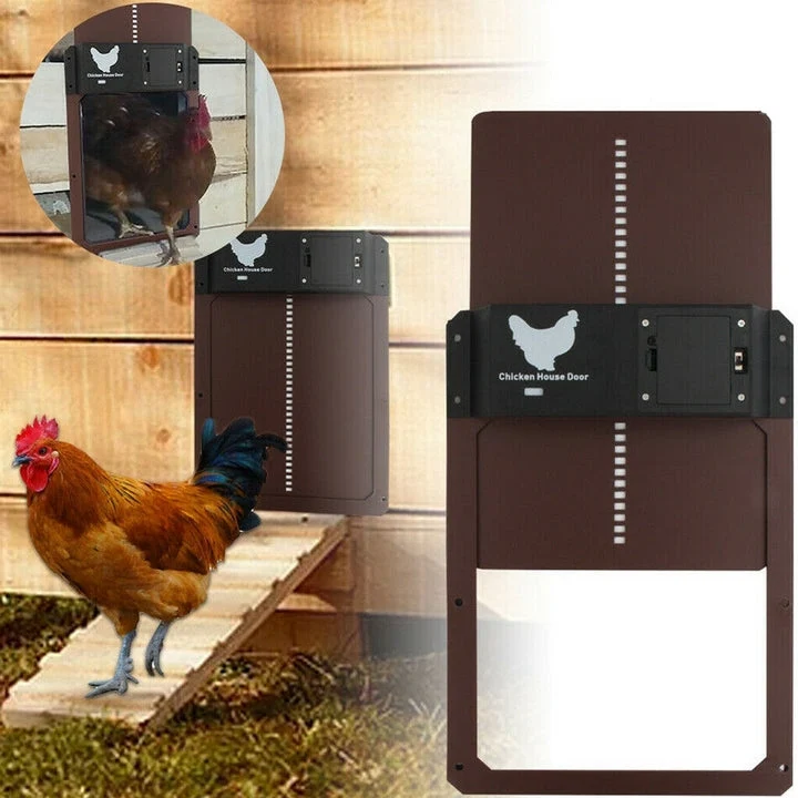 Smart automatic chicken coop door