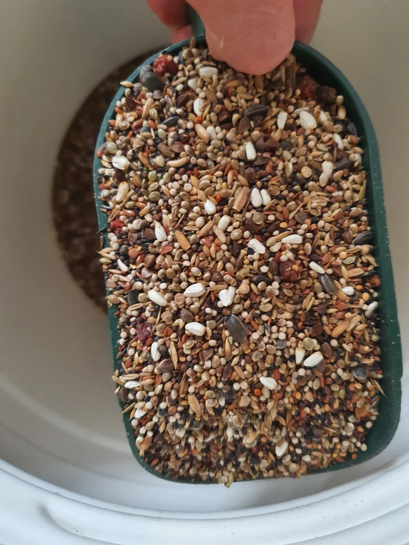 Camachuelos Tío Freddy 5kg - Hobbyfarm Hoebregts