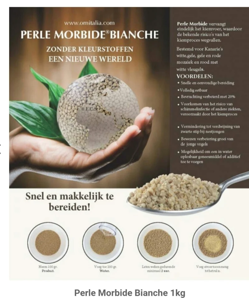 Perlé Morbid Blanco 4kg