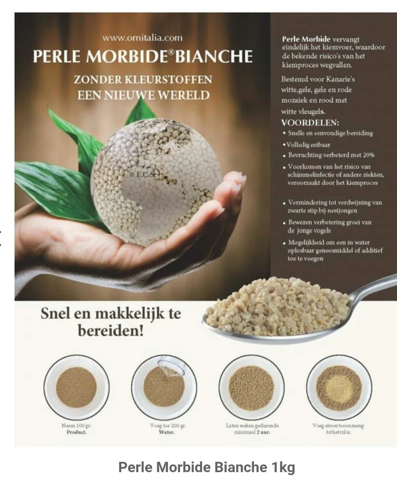 Perlé Morbid Blanco 9kg