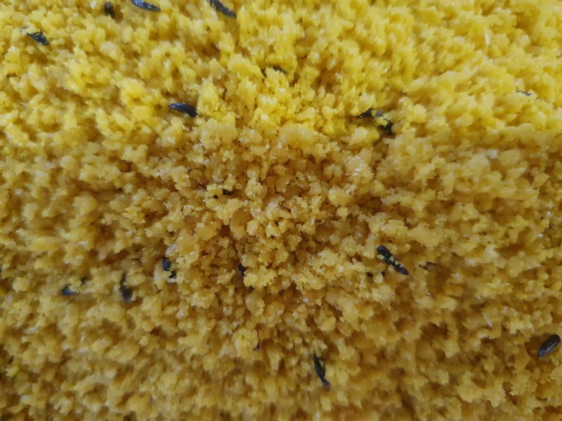 Pasta de huevo Yellow Rul ( con miel )