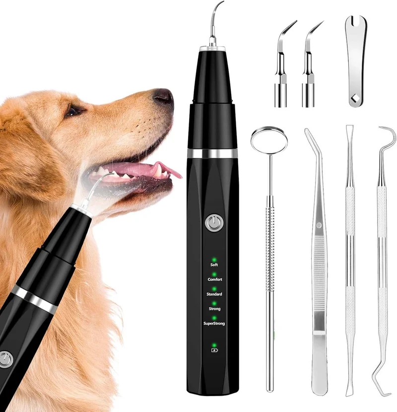 Ultrasonic Device for Removing Dental Tartar in Pets