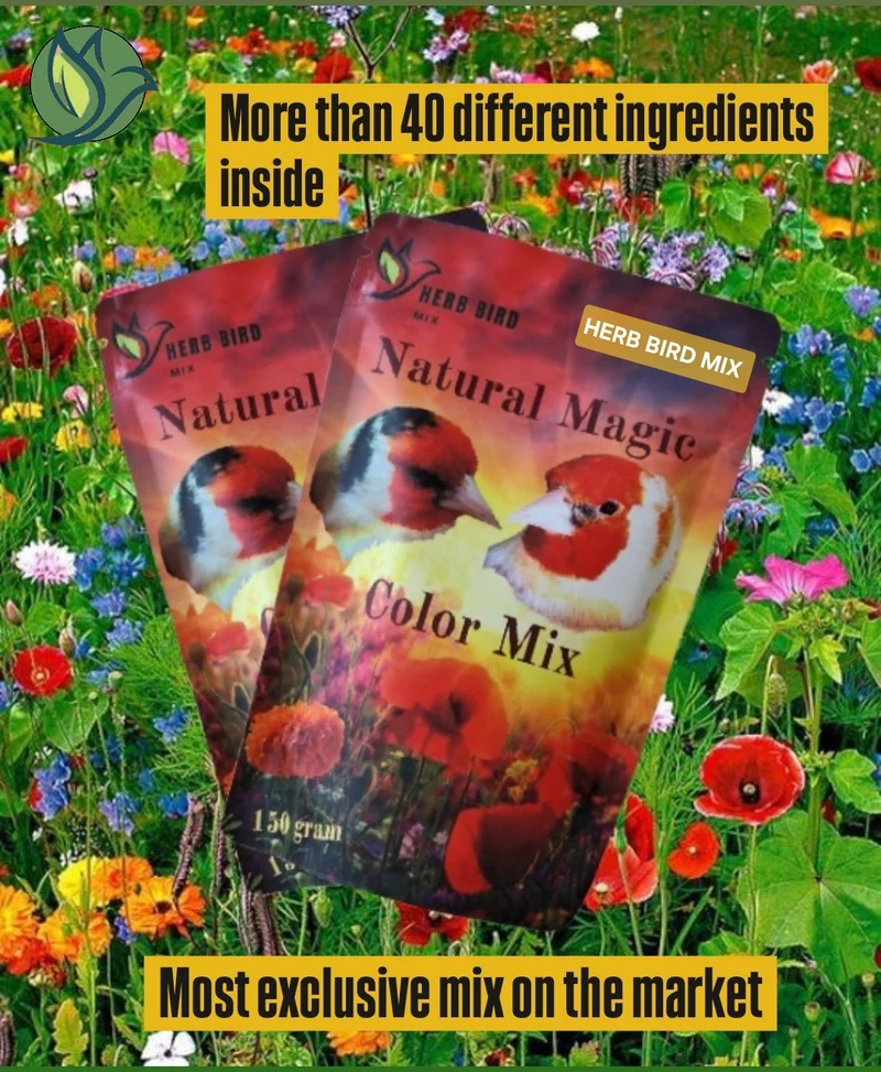 Mezcla de colores mágicos naturales (150 gramos) - Mezcla de pájaros de hierbas