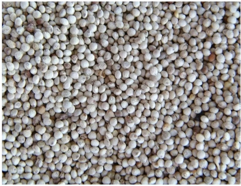 Perilla Blanca 500 gramos