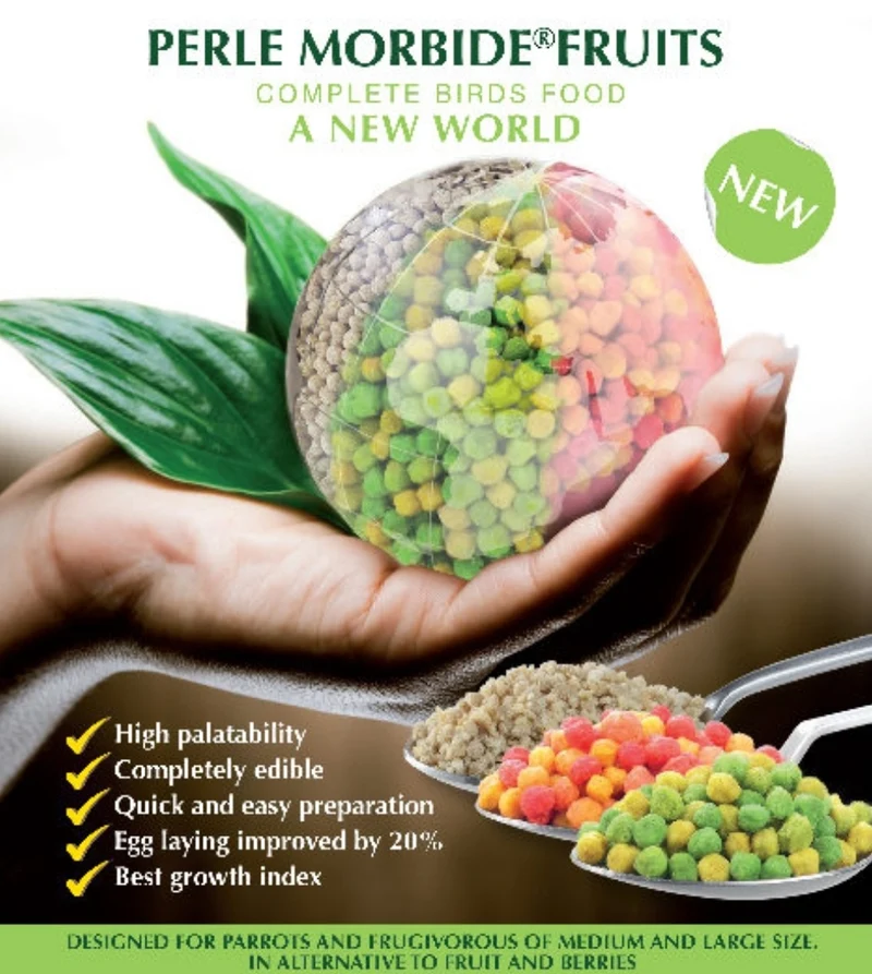 Perle Morbid Fruta Verde 800gram