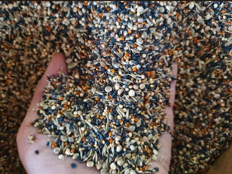 Semillas saludables 1kg Duvo+