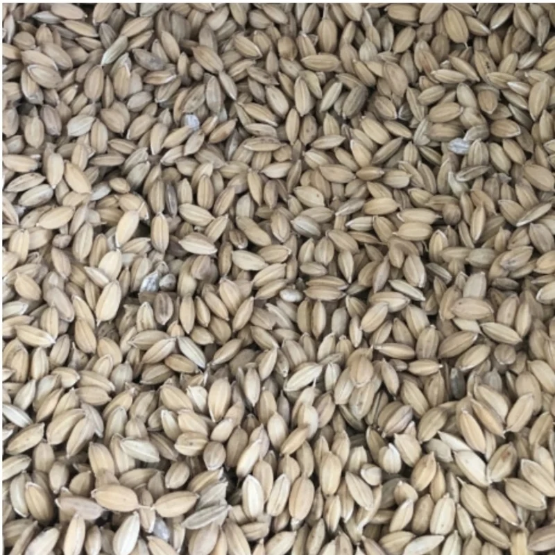 Arroz con cáscara 5kg
