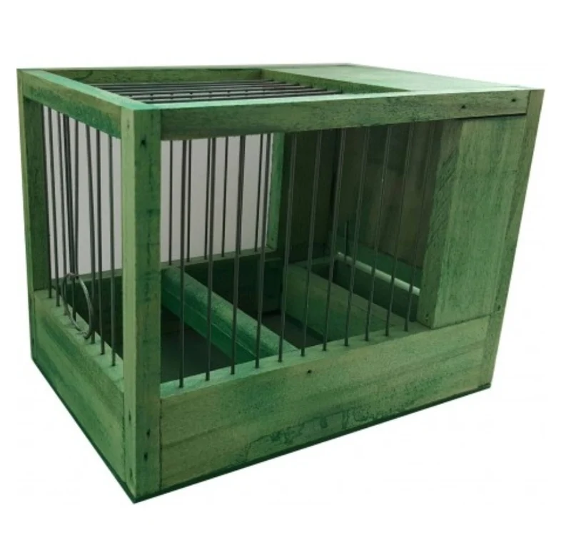 Jaula pequeña verde 21x15.5x14.5cm