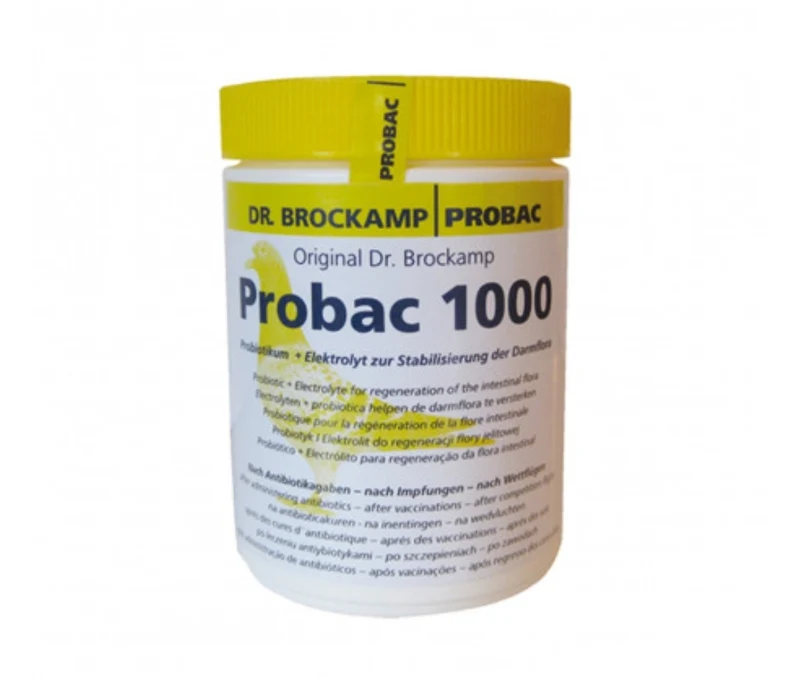 Probac 1000 (Equilibrio intestinal) - Dr. Brockamp