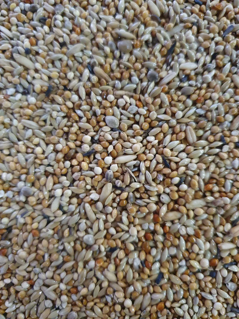 Deli Nature 66 Periquitos Super 5kg (autoenvasado)