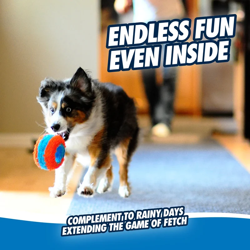 Juguete Rodante para Interiores para Perros - Chuckit! Indoor Roller Dog Toy | Chuckit!®