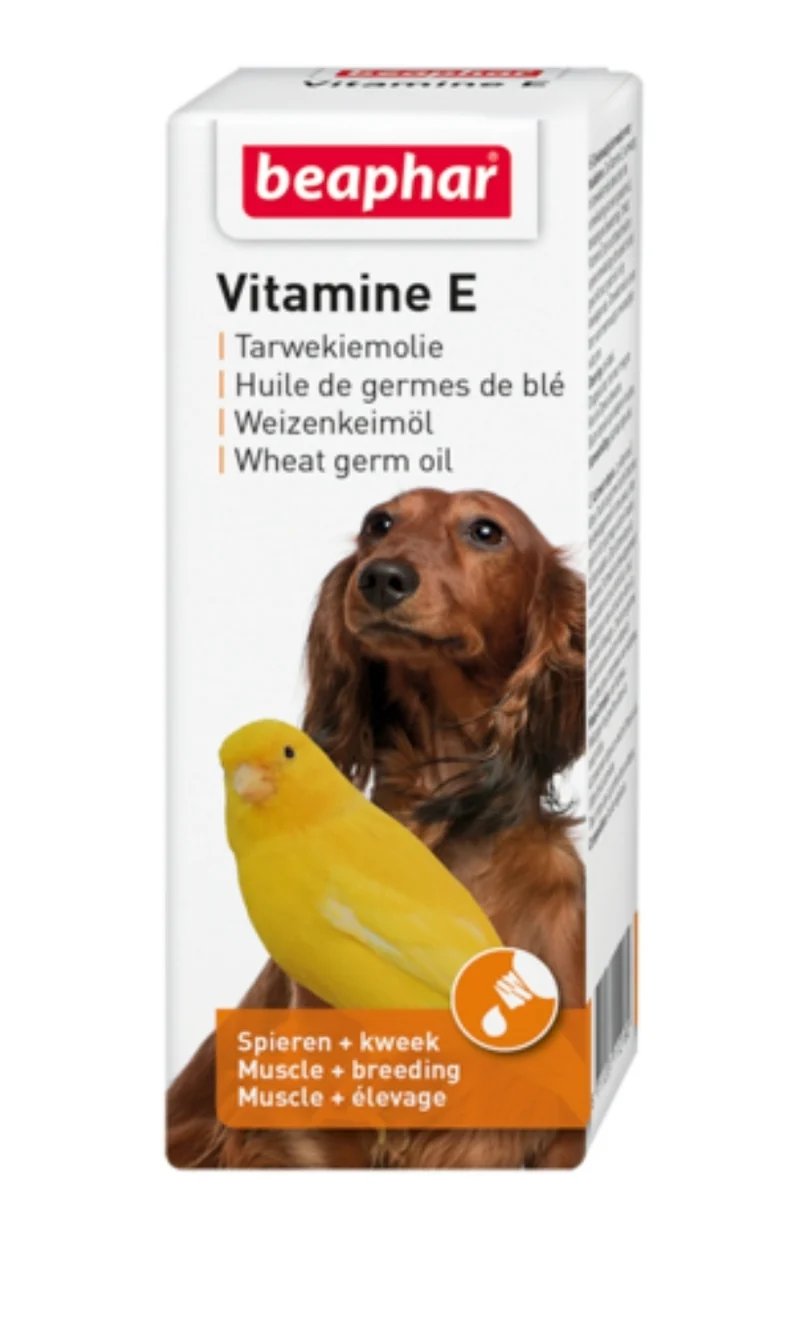 Aceite de Germen de Trigo (Vitamina E) 30ml