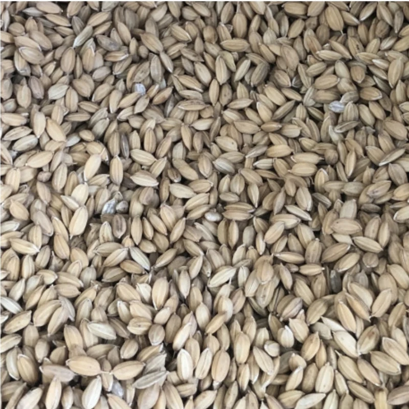 Arroz con cáscara 1kg