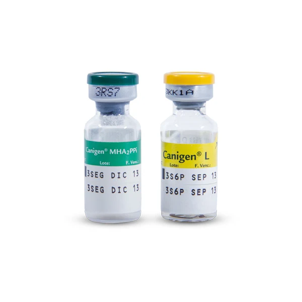 Vacuna Canigen Sextuple (anual) Mh2Ppilr x 1 Dosis para Perros