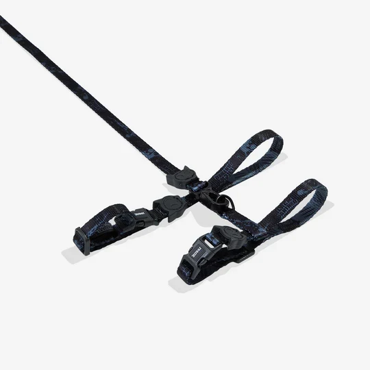 Arnes Ajustable y Correa para Gato Black Panther