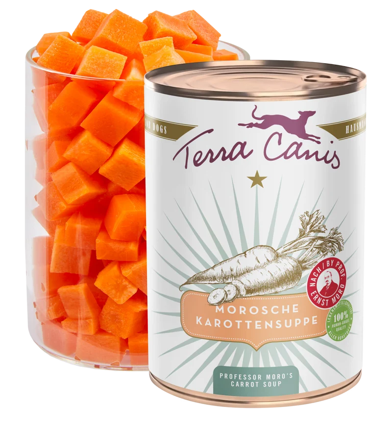 Sopa de zanahoria del Dr. Moro | Terra Canis