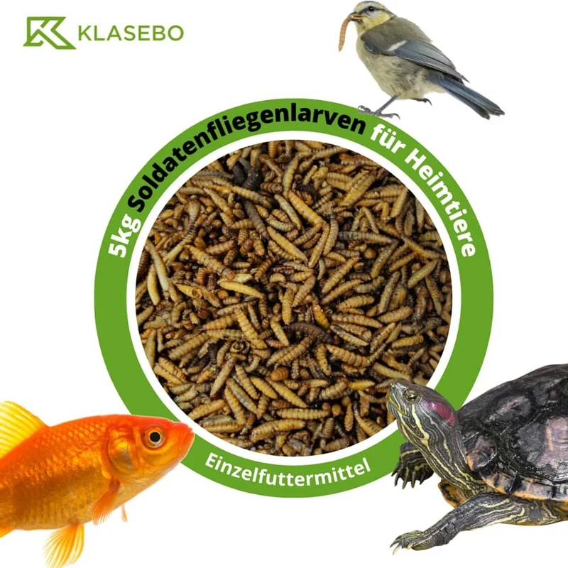Larvas De Mosca Soldado 5kg, Hermetia Illucens Entera Y Seca, Alimento Para Aves Insectívoras