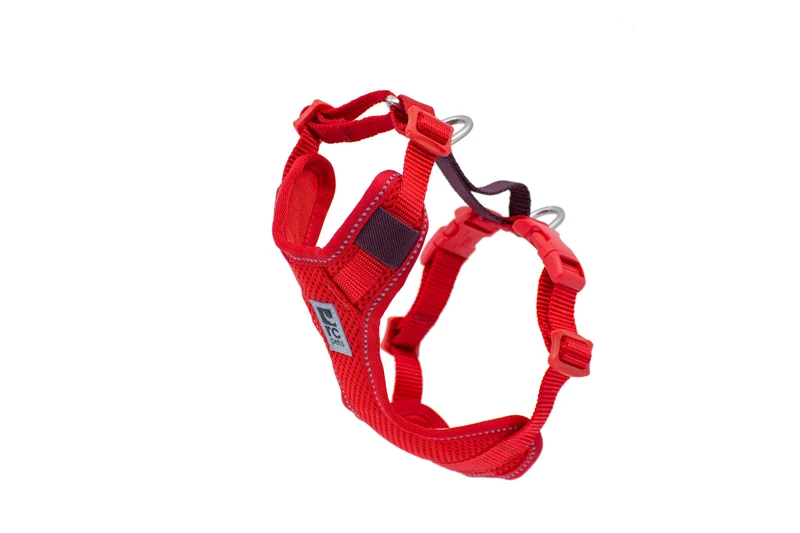 Pechera de Control en el Coche y para Paseos Diarios en Rojo