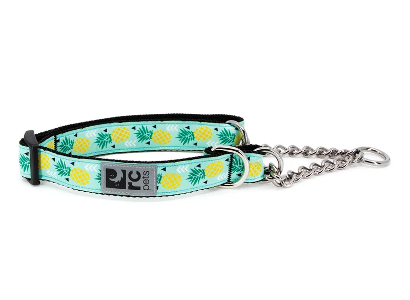 Collar de Entrenamiento Para Perros Martingale estilo Pineapple Parade