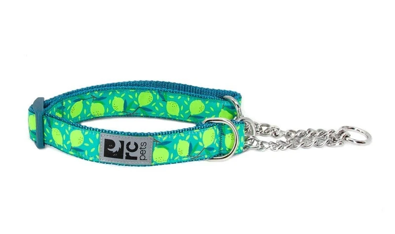Collar de Entrenamiento Para Perros Martingale estilo Lemonade
