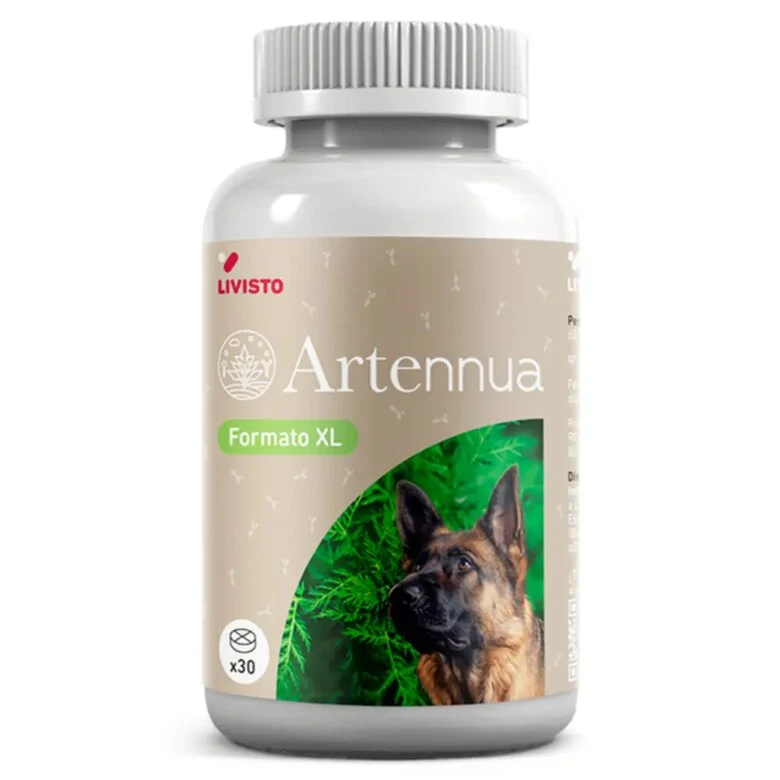 Artennua XL | Estimulador del Sistema Inmunológico con Artemisia Annua
