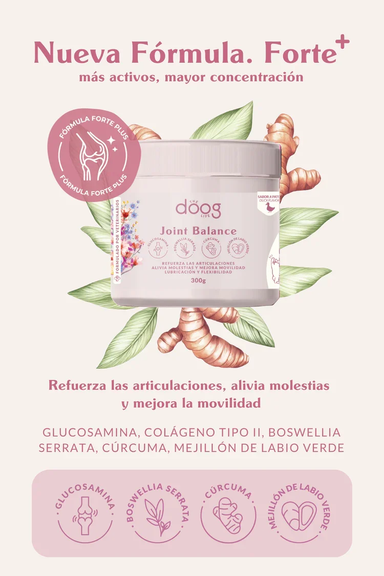 Doog Life | Suplemento articular perros y gatos | Bote 120 Masticables