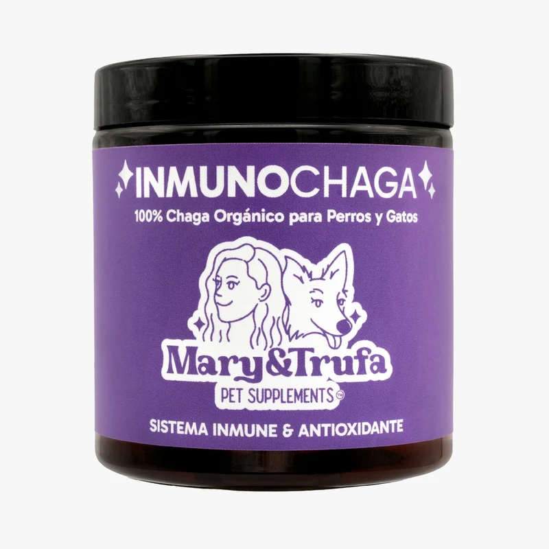 Mary&Trufa - InmunoChaga 75gr | Inmunomodulador y antioxidante | Salud de articulaciones, piel y digestión