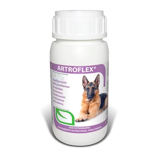 Artroflex® Tabletas Masticables para Perros – Suplemento Articular con Glucosamina y Condroitina | Ruiland