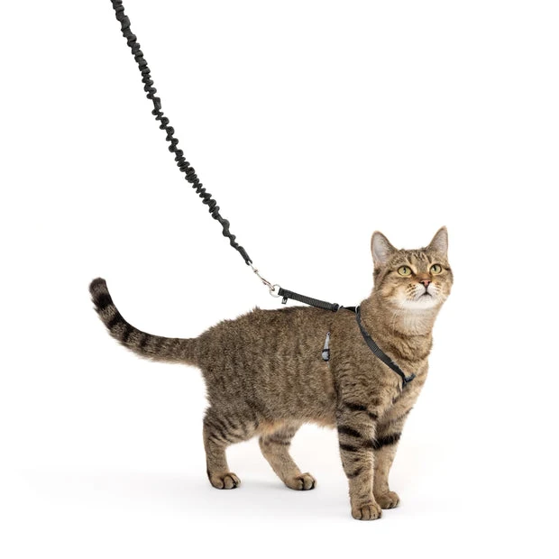 Arnés con Correa Elástica Come With Me Kitty™ para Gatos – Negro (Black) | PetSafe