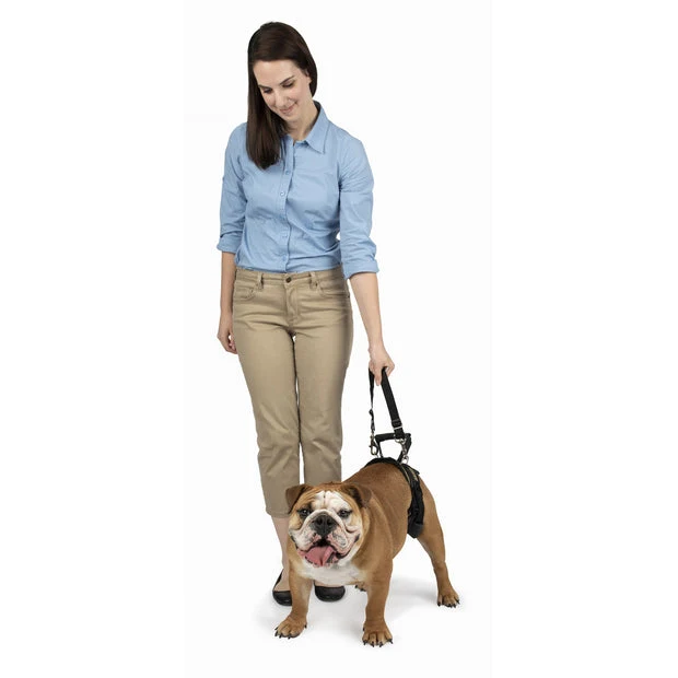 Arnés Trasero de Soporte CareLift™ para Perros | PetSafe