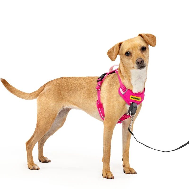 Arnés Easy Walk Comfort Antijalones para Perros - Rosa (Pink) | PetSafe