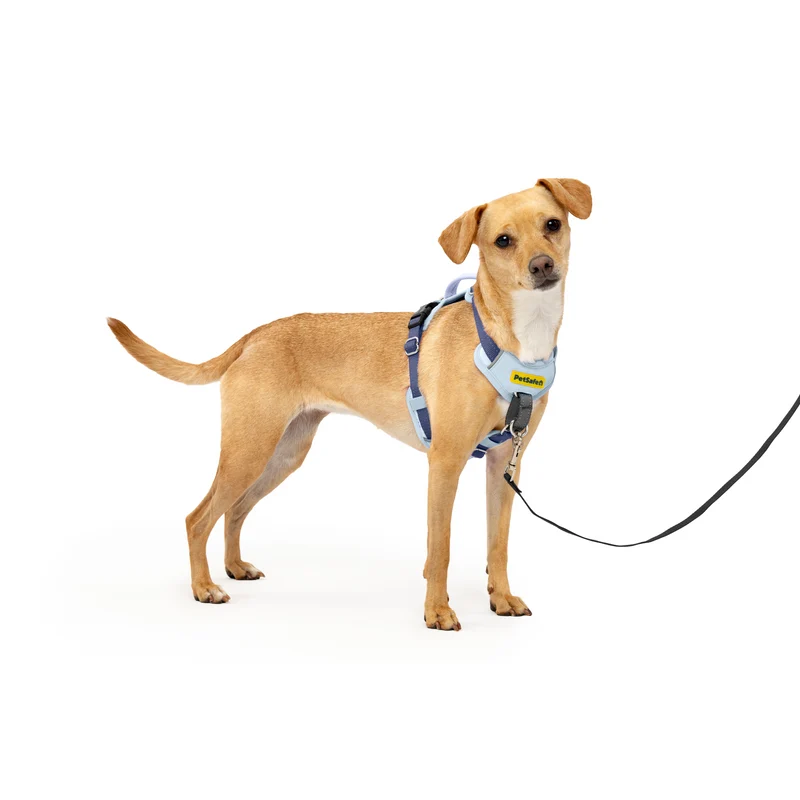 Arnés Easy Walk Comfort Antijalones para Perros - Azul (Blue) | PetSafe