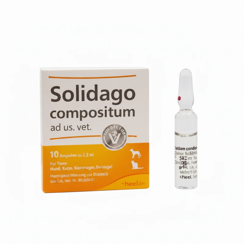 Solidago Compositum x Ampolla
