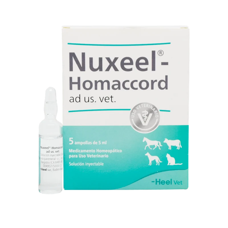 Nuxeel Homaccord x Ampolla