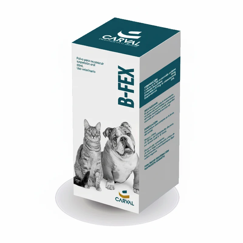 B Fex Cefalixina Suspensión x 60 Ml
