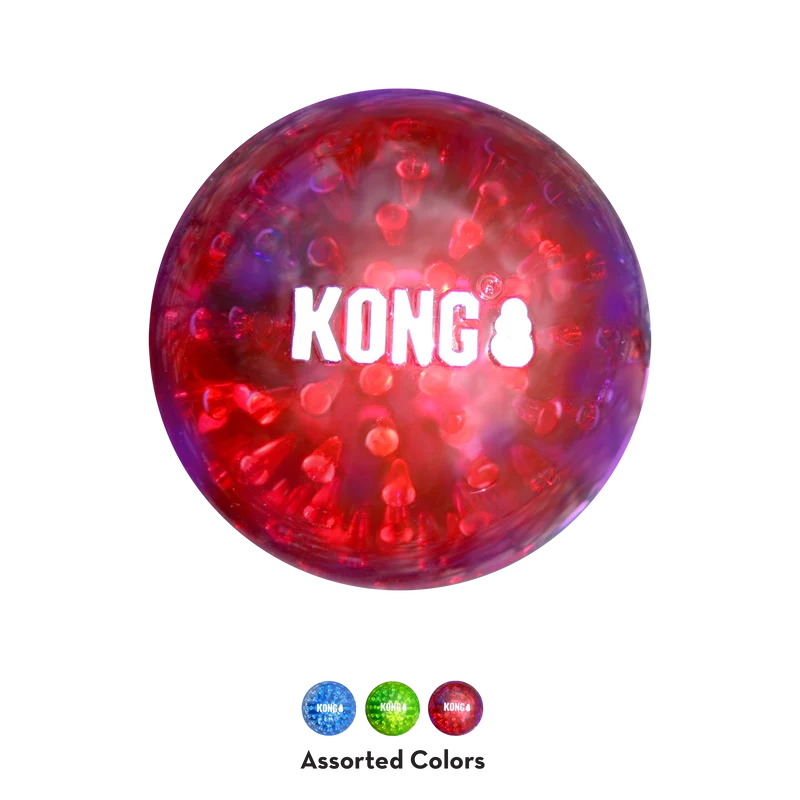 KONG Squeezz Geodz - Pelotas con Sonido y Textura para Perros (Paquete de 2) | KONG