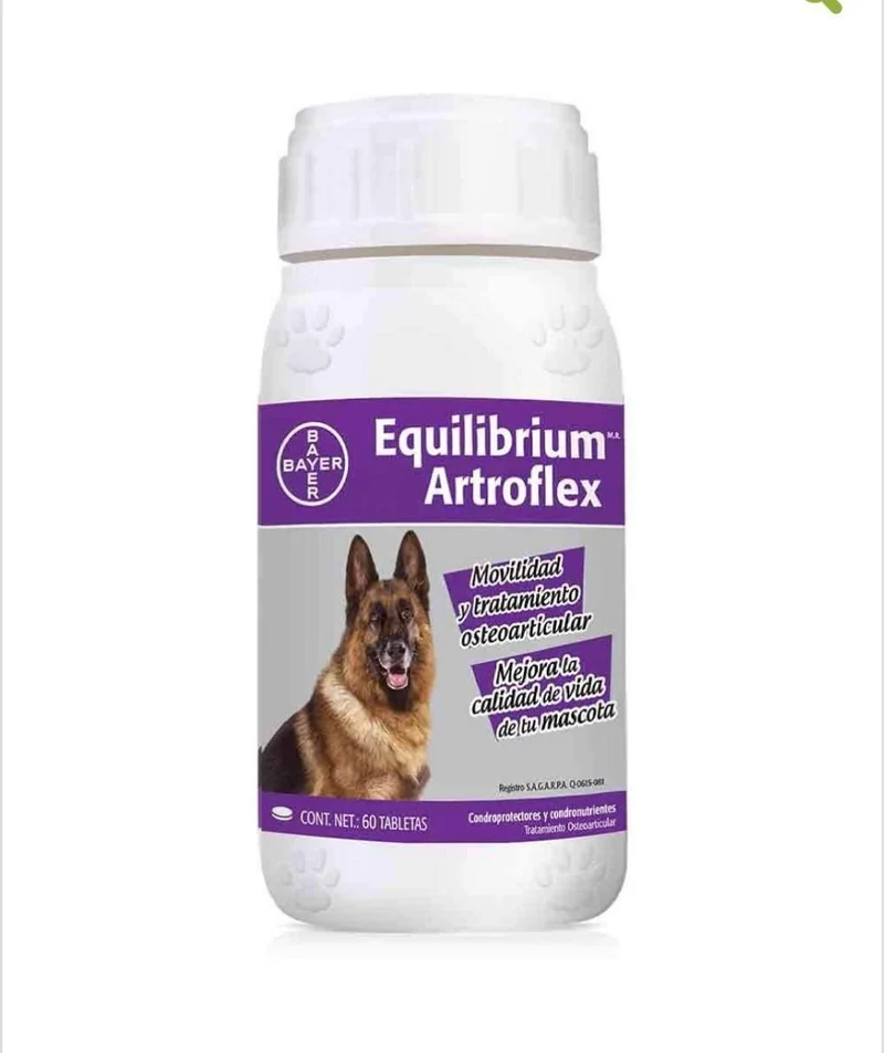 Equilibrium Artro