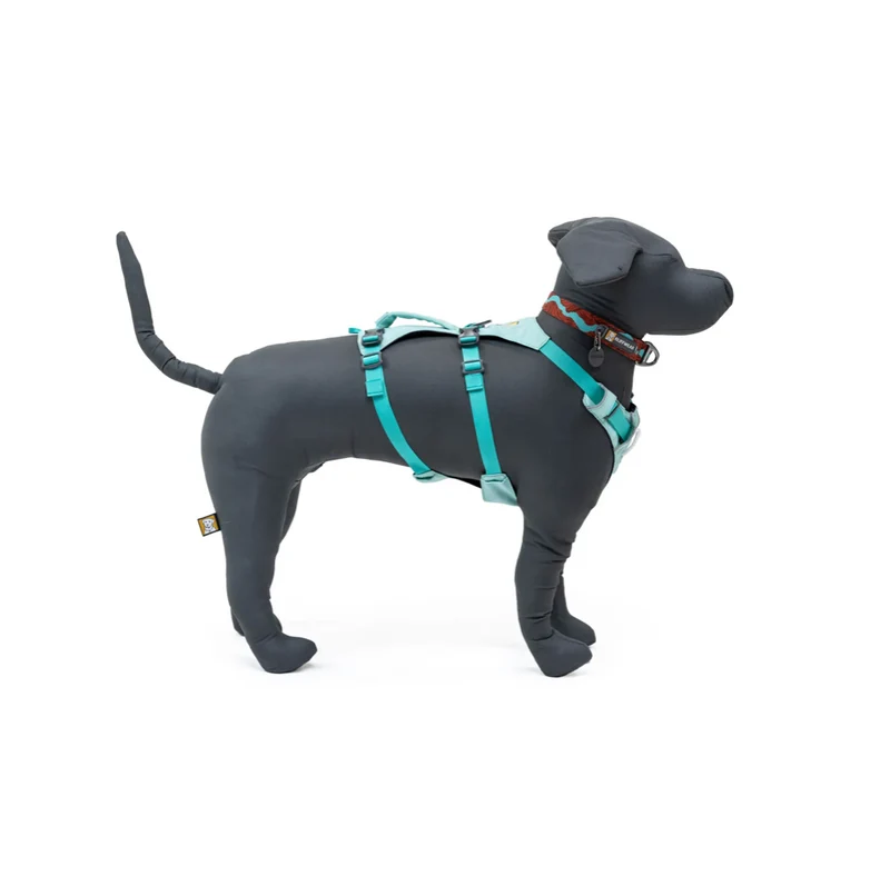 Maniquí de Exhibición para Arnés y Collar - Otis POP Stuffed Mannequin | Ruffwear Merchandising