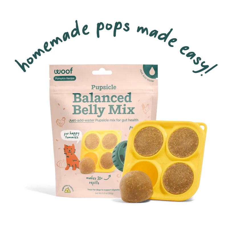 Pupsicle Pops para Barrigas Felices | Mezcla Casera para Digestión Saludable - Woof