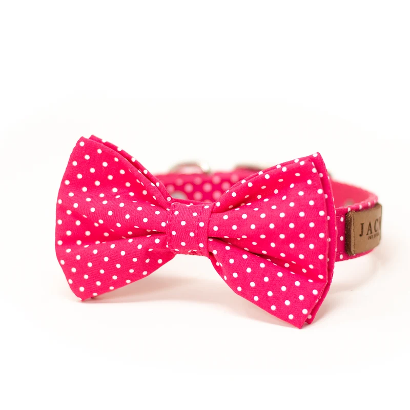 Collar de Corbata de Moño Rosa de Puntos para Perro de Jack Pet Style
